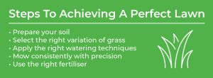 steps to achieving a perfect lawn