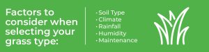 Factors to consider when selecting your grass type
