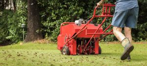 aerating a lawn with an aerating tool