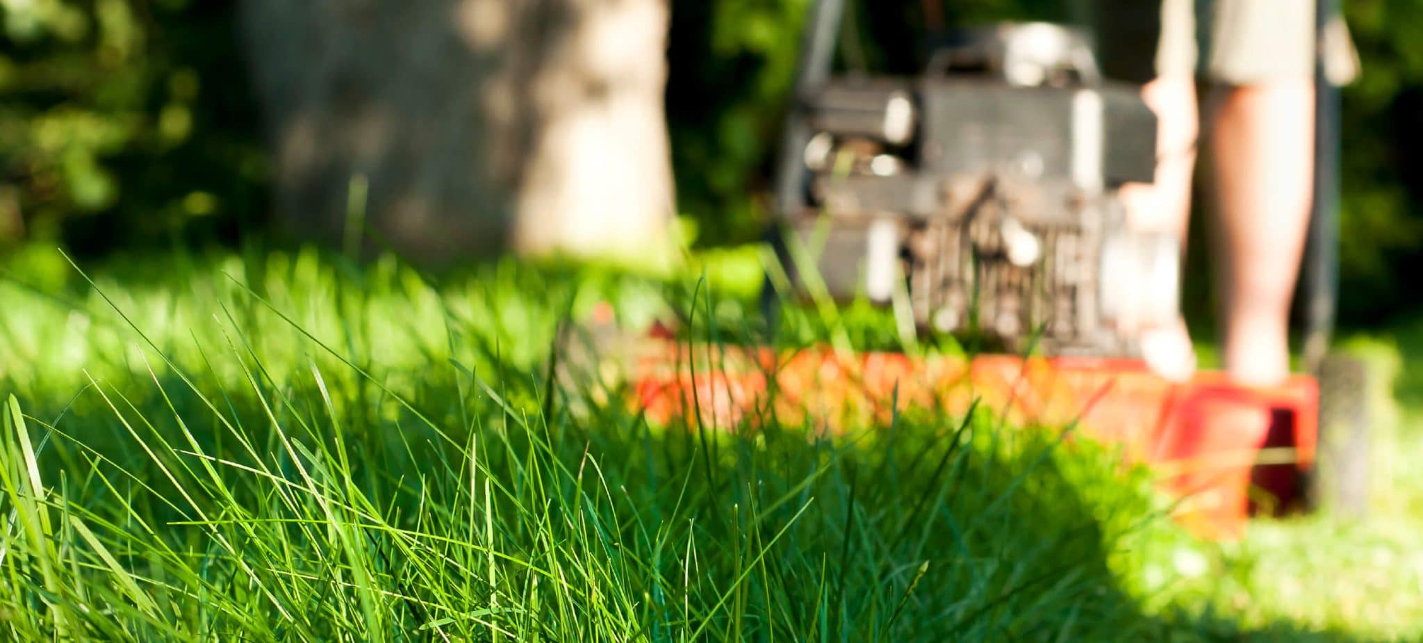 The Art Of Turf Laying Secrets To A Beautiful, Healthy Lawn
