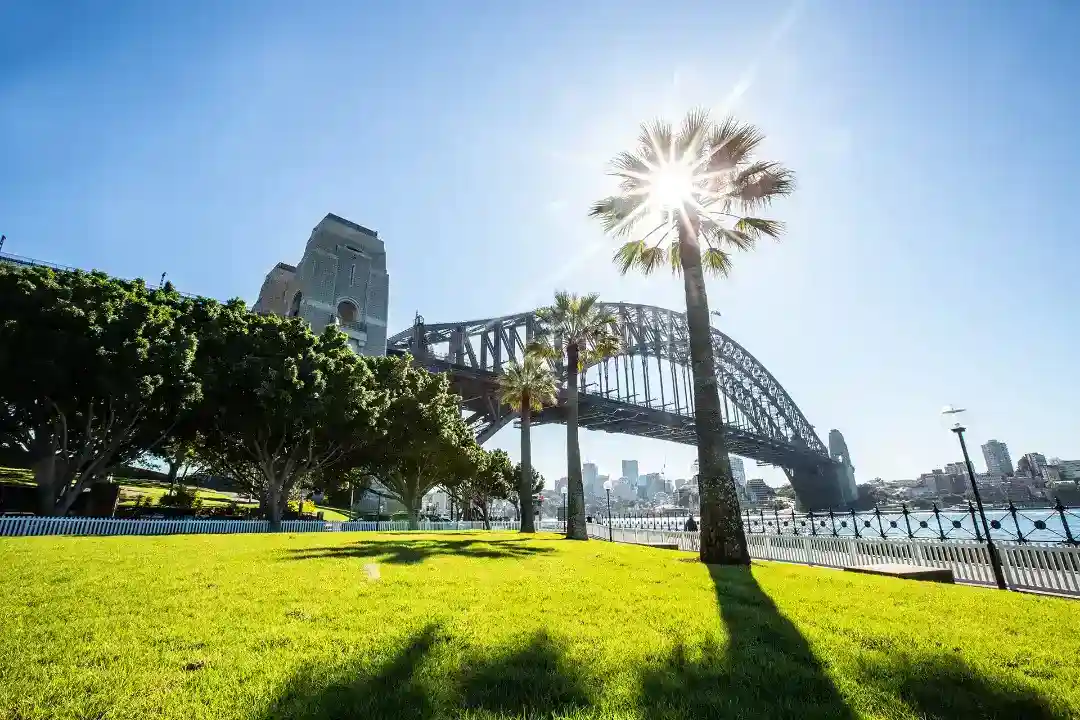 Lawn Care Sydney Lawn Care Sydney