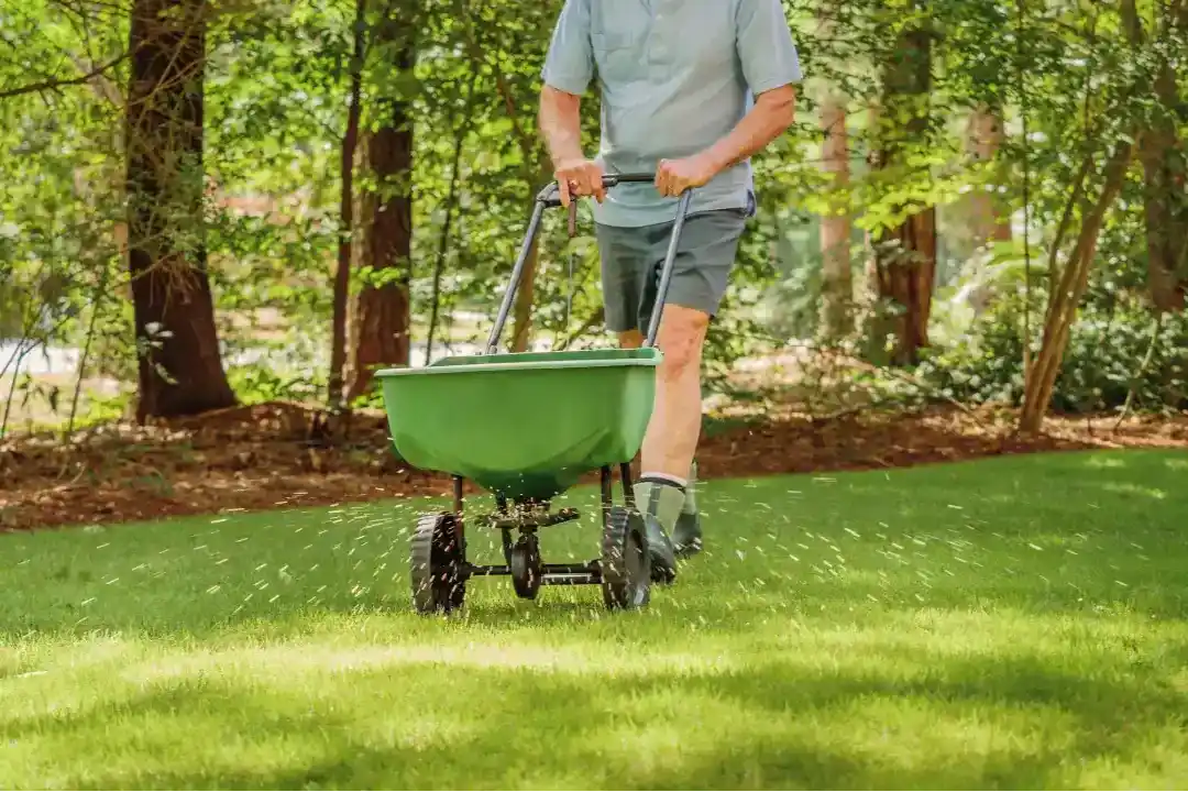 Lawn Care Sydney Lawn Care Sydney