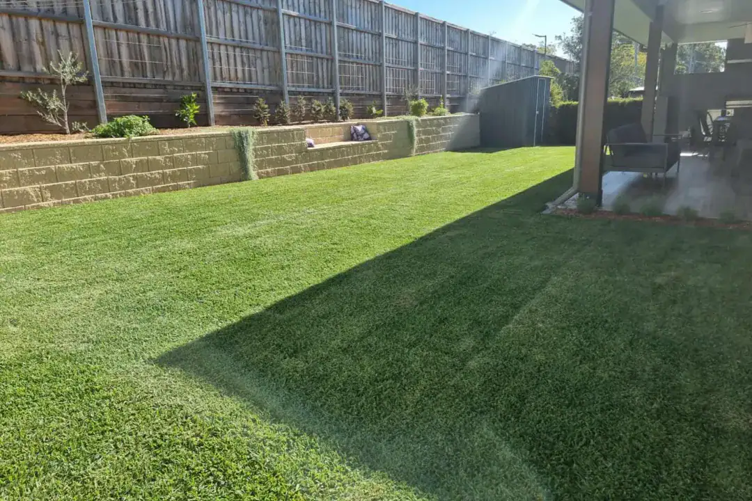 Lawn Care North Shore