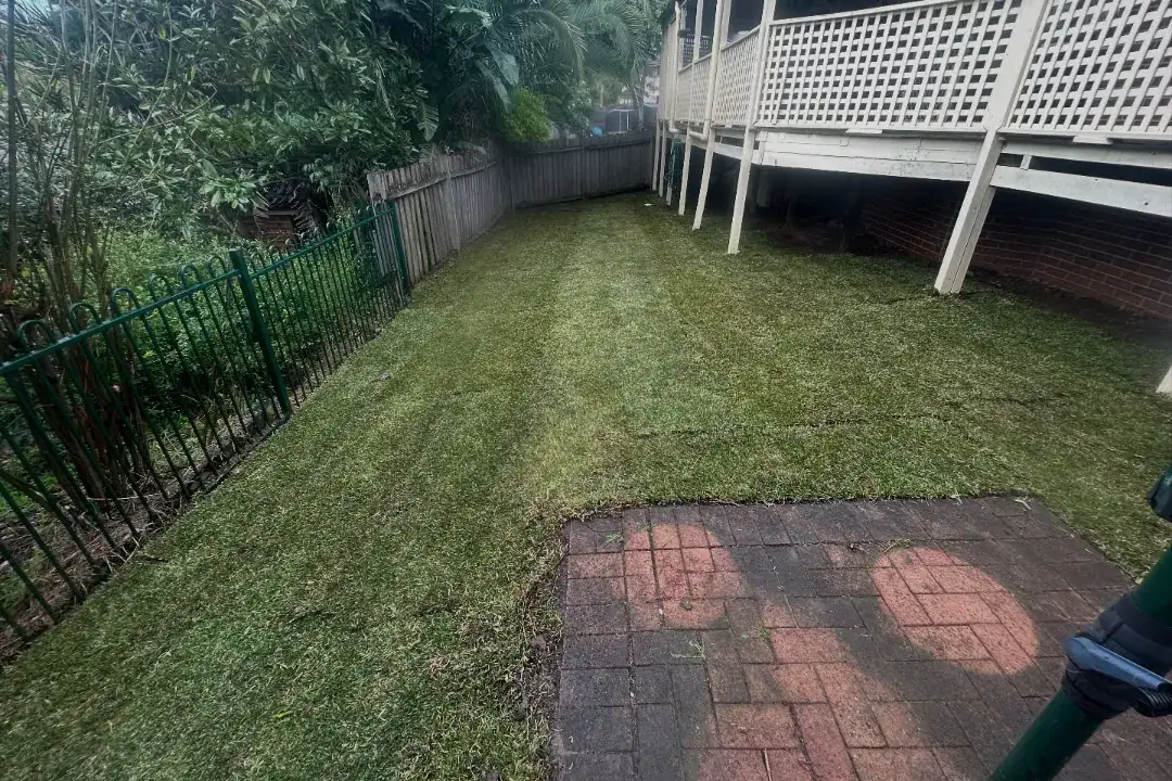 Lawn Care North Shore