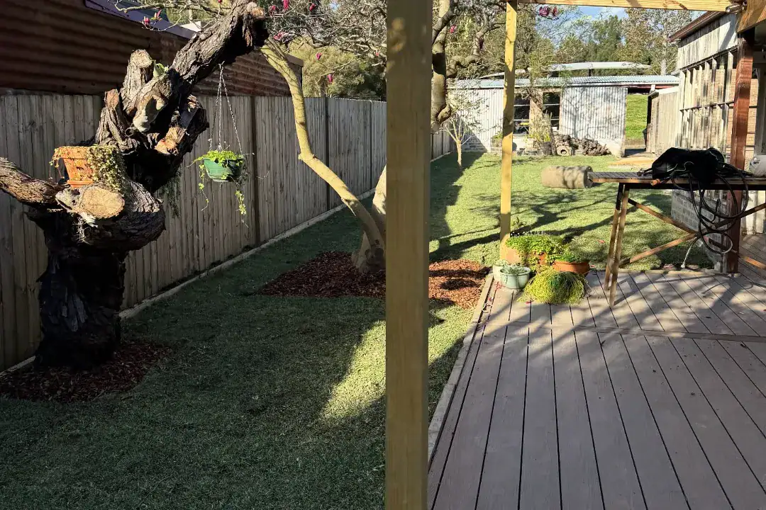 Lawn Care North Shore