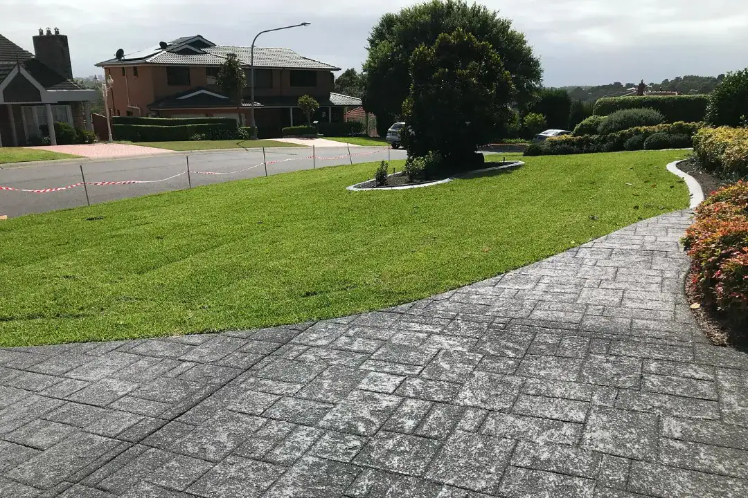 Lawn Care North Shore