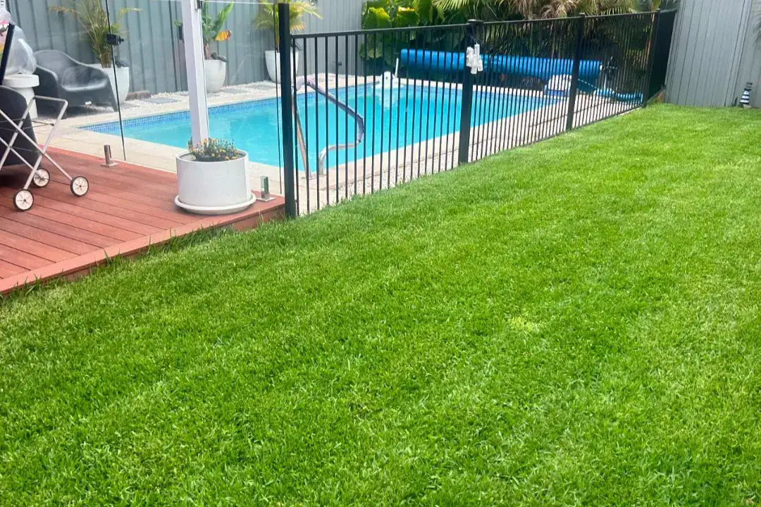 Lawn Care North Shore