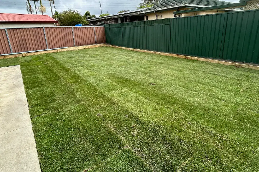 Lawn Care North Shore