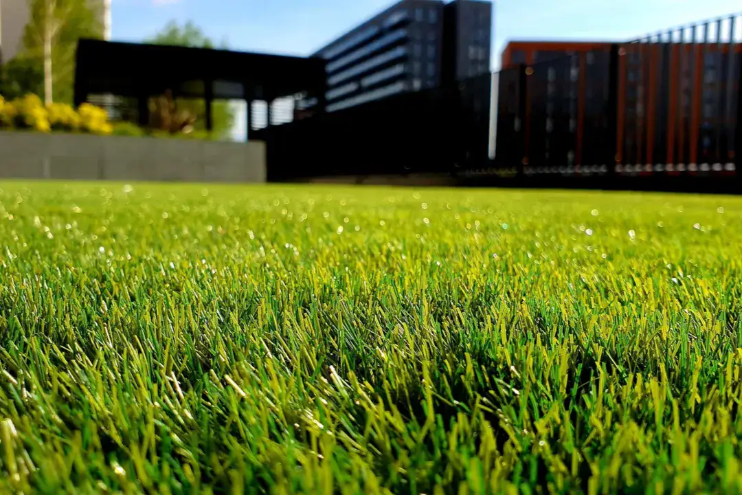Lawn Top Dressing Sydney