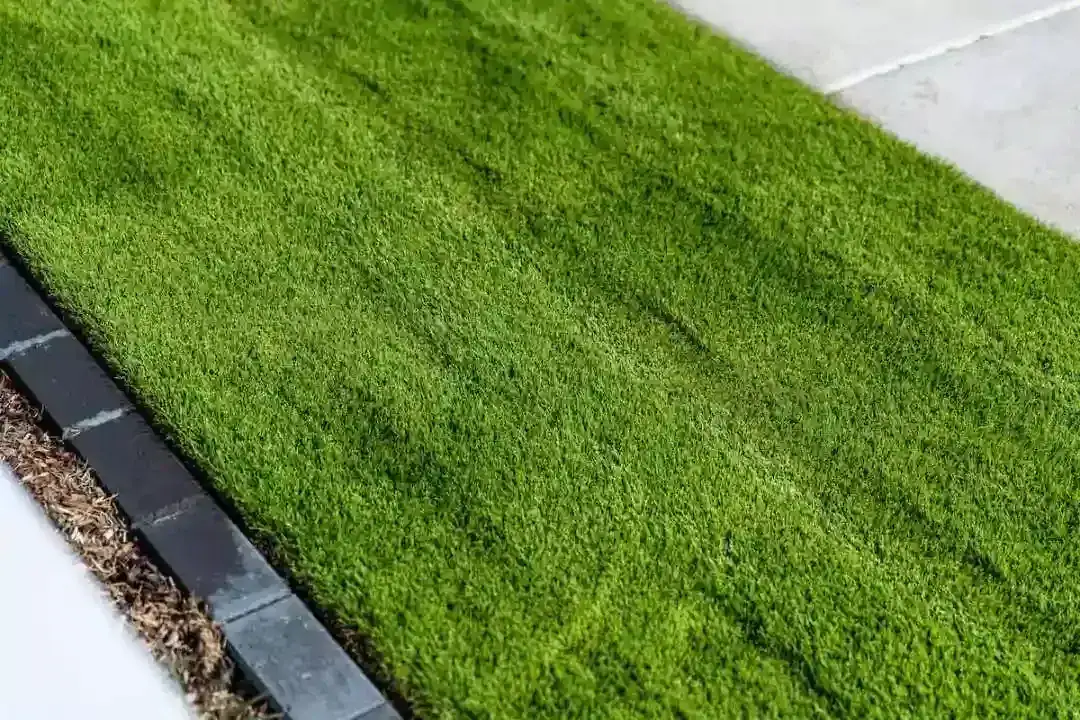 Lawn Top Dressing Sydney